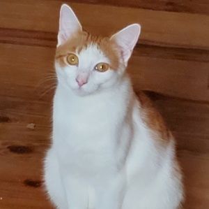 Meet your Posher, Beverly